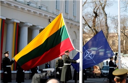 Nghị sĩ Nga trình dự luật liên quan tới nền độc lập của Litva