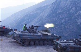 Thỏa thuận hoán đổi vũ khí cho Ukraine của Đức khiến Hy Lạp bất ngờ