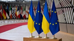 Dư luận Đức chia rẽ đối với vấn đề Ukraine gia nhập EU