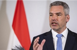 Áo nêu giải pháp về tư cách thành viên EU cho Ukraine