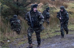 Ireland chia rẽ về tư cách thành viên NATO