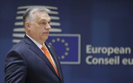 Hungary đề nghị EU nới lỏng một số lệnh trừng phạt Nga