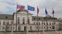 Chính phủ Slovakia đối mặt bất ổn 