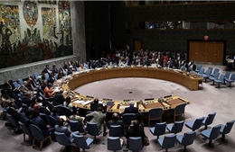 Xung đột Nga - Ukraine có thể làm tăng nhu cầu mở rộng Hội đồng Bảo an
