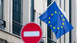 Romania chỉ trích Áo vì bị chặn gia nhập khối Schengen