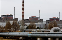 Bài học từ Chernobyl và Fukushima: Châu Âu đã sẵn sàng đối phó thảm họa hạt nhân?