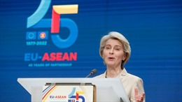 Tầm quan trọng của ASEAN trong chiến lược châu Á của EU