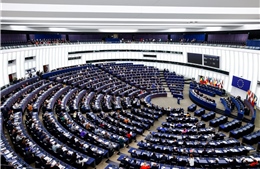 Nghị viện châu Âu đề xuất cắt giảm 1/2 lượng thuốc trừ sâu sử dụng trên toàn EU