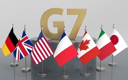 Bất chấp lệnh trừng phạt, G7 vẫn xuất khẩu sang Nga những gì?