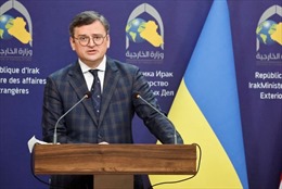 Ngoại trưởng Ukraine thăm châu Phi