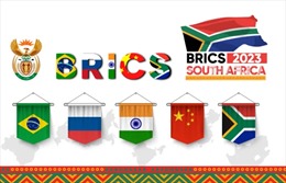 Tại sao ngày càng có nhiều nước muốn gia nhập BRICS?