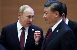 Lý do Tổng thống Nga và Chủ tịch Trung Quốc không trực tiếp dự Thượng đỉnh SCO 2023