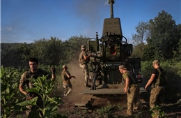 Bộ Quốc phòng Đức chỉ ra nhược điểm chính trong phản công của Ukraine