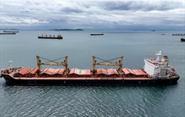 EU tính nới lỏng trừng phạt Nga để bảo vệ thỏa thuận ngũ cốc ở Biển Đen