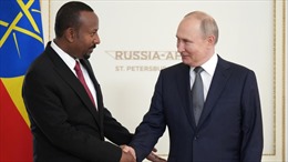 Lý do một số lãnh đạo cấp cao châu Phi không dự hội nghị thượng đỉnh tại Nga
