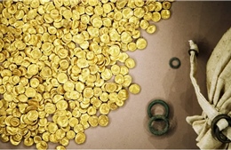Đức bắt 4 nghi phạm trộm tiền vàng cổ trị giá 1,8 triệu USD