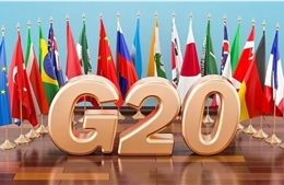Ấn Độ chính thức mời Nga dự hội nghị thượng đỉnh G20