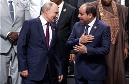 Ai Cập từ chối lời kêu gọi của Mỹ gửi vũ khí cho Ukraine