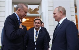 Sự hợp tác giữa Nga và Thổ Nhĩ Kỳ ngoài vấn đề ngũ cốc
