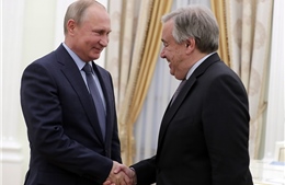 LHQ đàm phán bí mật với Nga nhằm khôi phục thỏa thuận ngũ cốc