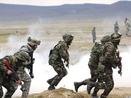 Chuyên gia Nga bình luận về cuộc tập trận quân sự Mỹ - Armenia
