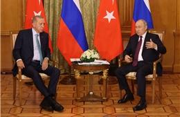 Thổ Nhĩ Kỳ: Tổng thống Nga đặt ra 2 điều kiện cụ thể để gia hạn thỏa thuận ngũ cốc với Ukraine