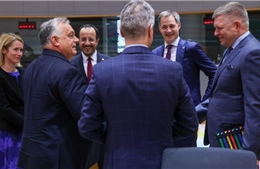 Hungary đề xuất thỏa hiệp để Ukraine gia nhập EU