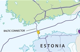 NATO tuyên bố phản ứng cứng rắn nếu đường ống ở Biển Baltic bị cố tình tấn công
