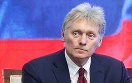 Điện Kremlin cảnh báo CH Séc về đóng băng tài sản của Nga