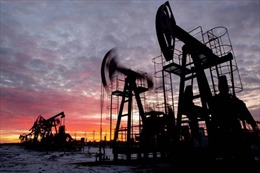 Saudi Arabia và Nga tiếp tục cắt giảm dầu giữa căng thẳng ở Trung Đông