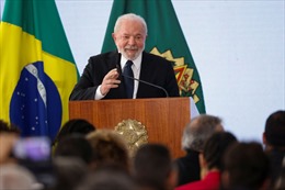 Tổng thống Brazil từ chối đề nghị gặp của người đồng cấp Ukraine