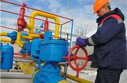 Ukraine đã cứu EU khỏi cuộc khủng hoảng năng lượng và giá khí đốt cao