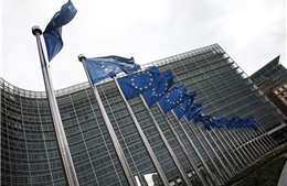 An ninh kinh tế: Kỷ nguyên mới với EU 