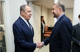 Mục tiêu của Nga khi tăng cường quan hệ với các quốc gia Arab