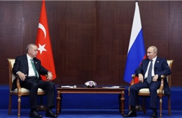 Tác động tiềm tàng với Ukraine từ chuyến thăm Thổ Nhĩ Kỳ của Tổng thống Nga