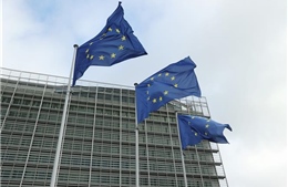 12 nước EU hối thúc Bỉ đẩy nhanh đàm phán gia nhập với Ukraine và Moldova