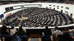Bầu cử EP: Bỉ lo ngại tỷ lệ cử tri đi bầu thấp kỷ lục