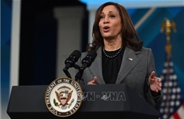 Bầu cử Mỹ: Đã đến thời của Phó Tổng thống Kamala Harris?