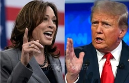 Ông D.Trump tuyên bố không tham gia cuộc tranh luận khác với bà K.Harris