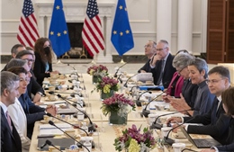 Kế hoạch của EU cho cuộc chiến thương mại với Mỹ nếu ông Trump đắc cử