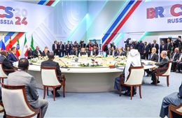 Tại sao một số thành viên BRICS không ủng hộ phi USD hoá?