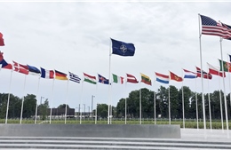 Ít nhất 7 quốc gia phản đối mời Ukraine gia nhập NATO 