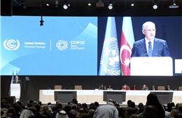 COP29: Điều gì đang cản trở các cuộc đàm phán cho đến nay?