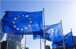 &#39;Kho vũ khí&#39; chủ lực của EU trong cuộc chiến thương mại với chính quyền Trump 2.0