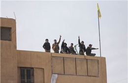 Góc nhìn từ Iran về lý do chính quyền Assad từ bỏ quyền lực ở Syria