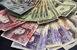 Sự thống trị của đồng USD giảm dần khi các ngân hàng trung ương đa dạng hóa dự trữ