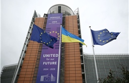 Hậu quả kinh tế nghiêm trọng từ việc EU ngừng miễn thuế với hàng hoá Ukraine