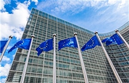EU chật vật trong &#39;cuộc chiến&#39; khoáng sản: Tham vọng và những rào cản lớn
