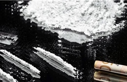 Tại sao cocaine lại tràn ngập nước Đức?