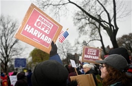 Bùng nổ cuộc chiến pháp lý giữa chính quyền Trump với Đại học Harvard và hệ luỵ